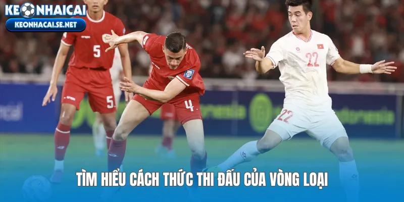 Tìm hiểu cách thức thi đấu của vòng loại